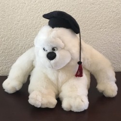 Peluche monito graduado
